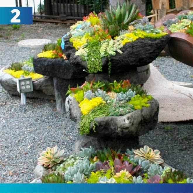 Лучшие идеи для дизайна двора