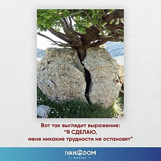 Цитаты и смыслы, которые заряжают энергией